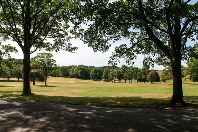Roundhay Park is a popular spot for dogwalkers, but concerns about sightings of a 'flasher' have sparked concerns about women's safety when alone in the green space. Photo: Bruce Rollinson.
