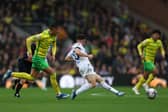 James has a chance of featuring at Carrow Road as he continues to recover from the costal cartilage injury and oblique abdominal muscle tear suffered in the closing stages of the 4-3 win at Middlesbrough towards the end of last month. Farke said: " would say Daniel James is making good progress, coming closer and closer. He had already joined in parts of team training, it will be a tight race but at least a chance he's available. It depends on next 48 hours, it could be that he's an option for the travelling squad, I’m not sure if he’s ready for 90 minutes.”