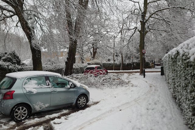 A driver looks on at a fallen tree on Springwood Road in Leeds, which is blocking the road.