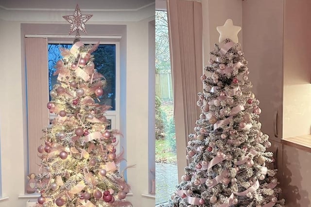 YEP reader Ellie Daisy Louise said she put both of her trees up in November.