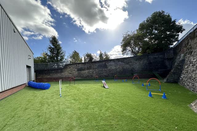 Four Paws Dog Play Centre's outdoor area