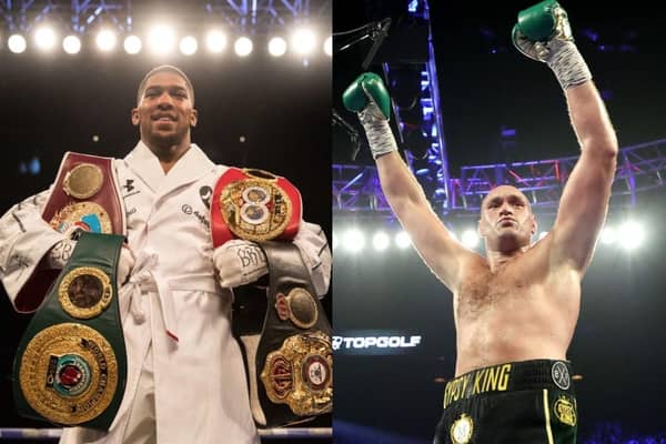 Anthony Joshua and Tyson Fury have agreed in principle to a pair of fights (Getty Images)