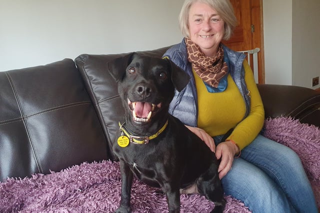 The Leeds rehoming centre are currently appealing for new local Foster carers to sign up to their Home from Home fostering scheme.
Some dogs, like nine-year-old Patterdale Terrier Buster here who is currently staying with long term foster carer Christine until he finds his forever home, struggle in a kennel environment. Being able to stay in a foster home and retain their usual routine really helps them cope with the upheaval of being rehomed. 
If you’d like to find out more about the requirements to become a foster carer you can visit the Dogs Trust website or email the team at HFHLeeds@dogstrust.org.uk.