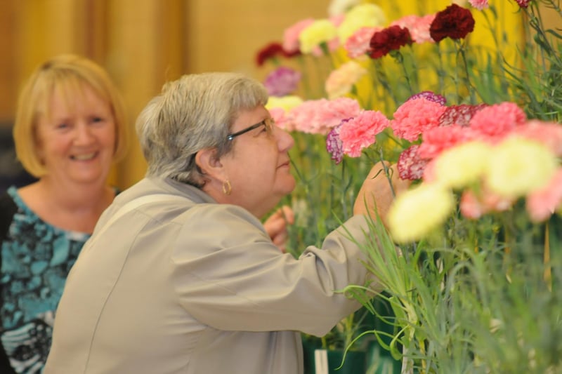 It's the 2015 Temple Park Flower Show and the floral displays were being admired by the public.