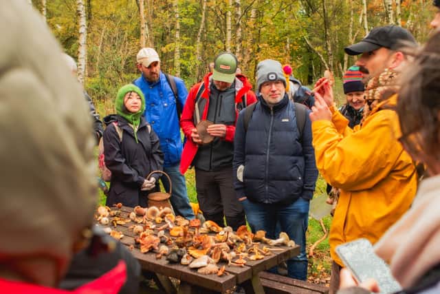 Join a Foraging Walk with Forage Against the Machine