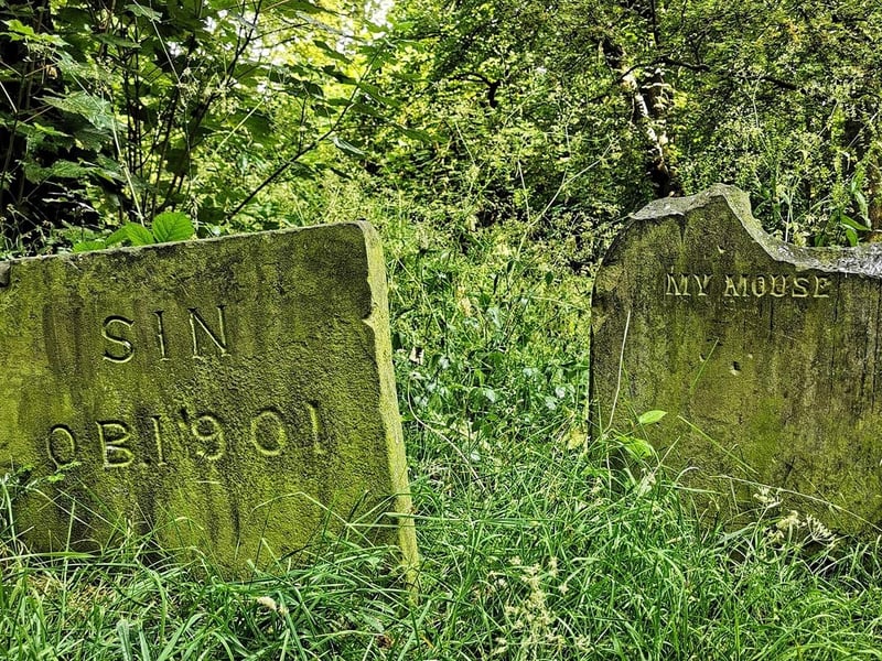 The cemetery is hidden out of sight.