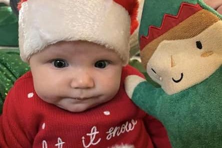 12 week old Harriet dressed up for Christmas. Submitted by Josie Sugden.