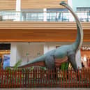 Meadowhall welcomes the return of its popular prehistoric guests