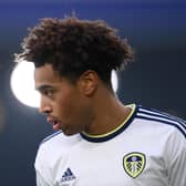 BOOST: Leeds United star Tyler Adams, above, is expected back at the start of the new week. Photo by Stu Forster/Getty Images.