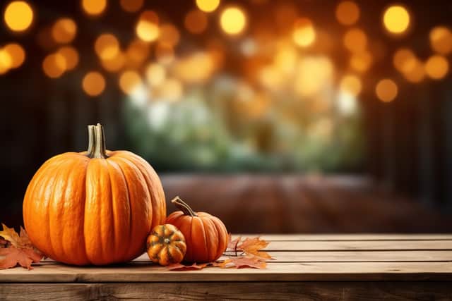 There are around 13 million pumpkins that end up in the bin after Halloween every year