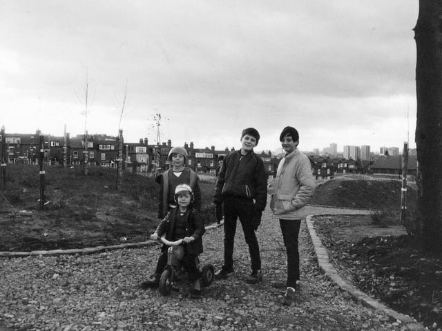 Children playing in the newly-opened Banstead Park. Work had started in the summer of 1983 on the former site of Banstead Grove and Harehills Terrace. Leeds City Council had applied for a grant of £186,000 from the Inner City Programme to construct the park on the cleared site. It was to include two play areas with a range of modern play equipment, an area planted with wild flowers and grasses to attract bees and butterflies and a kickabout area.