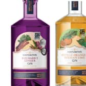 Aldi’s £16.49 gin crowned ‘Best in Britain’ – beating bottles almost double the price.