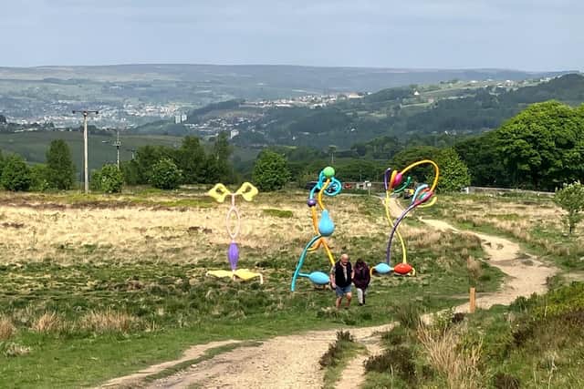 Wild Uplands artwork