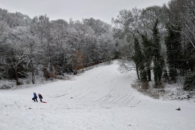 Sledgers take to the slopes in Roundhay Park, Leeds.