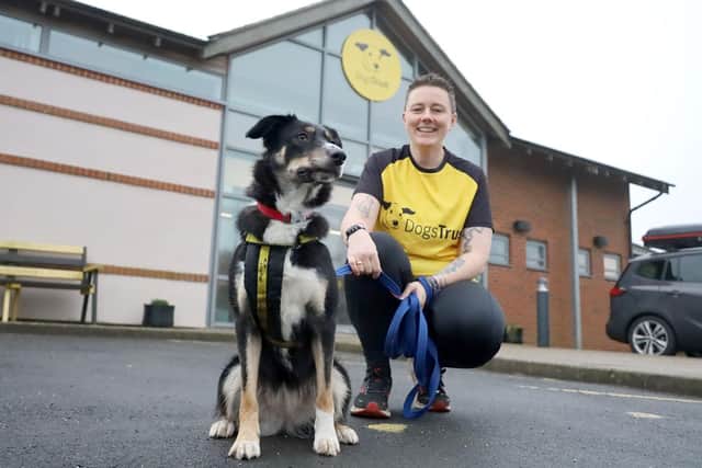 Amy Carlin with Nova the Border Collie.