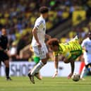 Norwich striker Sargent was forced off injured in the closing stages of Sunday's first leg with an ankle issue but boss David Wagner is optimistic he will be back for Thursday's second leg although there naturally has be to some element of doubt. Wagner said: "I haven’t spoken with him (Sargent) or the medical department, and obviously he was not able to carry on. He has some problems with his ankle but he is a tough guy. I don’t think this will be a big issue for Thursday in such an important game, but I haven’t spoken with him."
