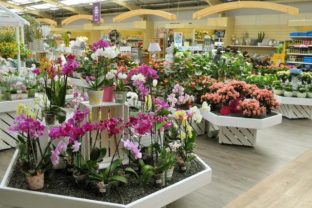 The popular Tong Garden Centre (pictured) has now opened a second site - Tingley Garden Centre. The £14m centre opened at the end of last month and sells everything from plants and gardening equipment, stylish outdoor furniture, BBQs and garden lighting to gorgeous gifts, on-trend home ranges, indoor plants. A third site, in Wetherby, has also been proposed.
