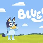 Meadowhall will welcome hugely popular pre-school character Bluey to the centre this half term
