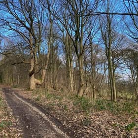 East Wood, Otley