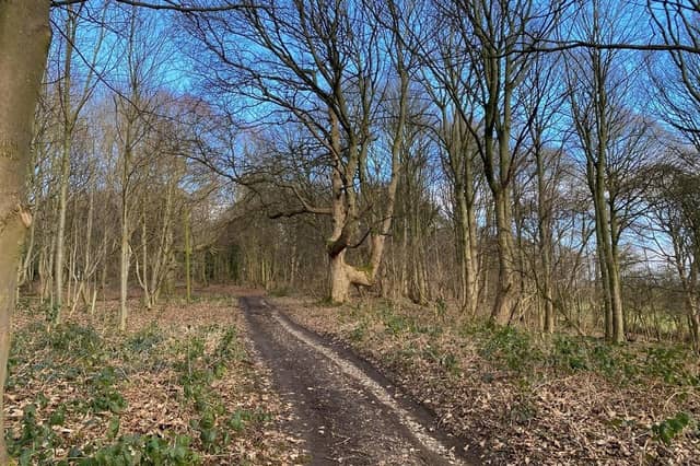 East Wood, Otley