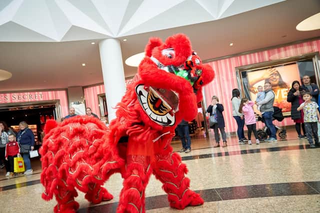 The Foshan Lion Dance Troupe will perform on Friday 31st January in the Lower Oasis at 6.30pm