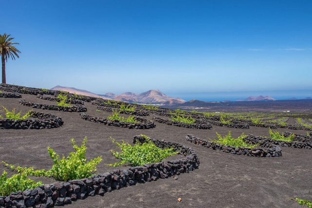 Lanzarote, one of the Canary islands off the coast of West Africa administered by Spain, is known for its year-round warm weather, beaches and volcanic landscape.
