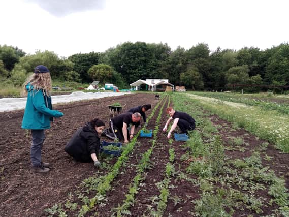 Take part in a sponsored weed pulling event at Kirkstall Valley Farm.