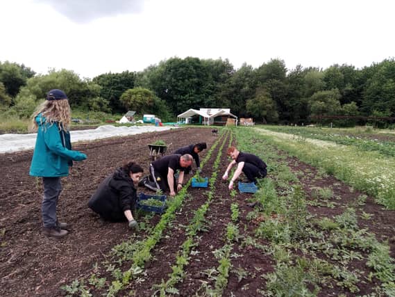 Take part in a sponsored weed pulling event at Kirkstall Valley Farm.