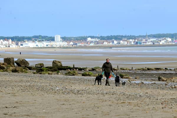 Dog walking on Fraisthorpe beach with a backdrop of Bridlington