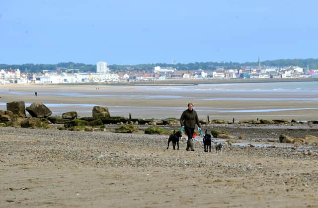 Dog walking on Fraisthorpe beach with a backdrop of Bridlington