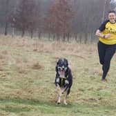 Amy Carlin training with Nova the Border Collie.