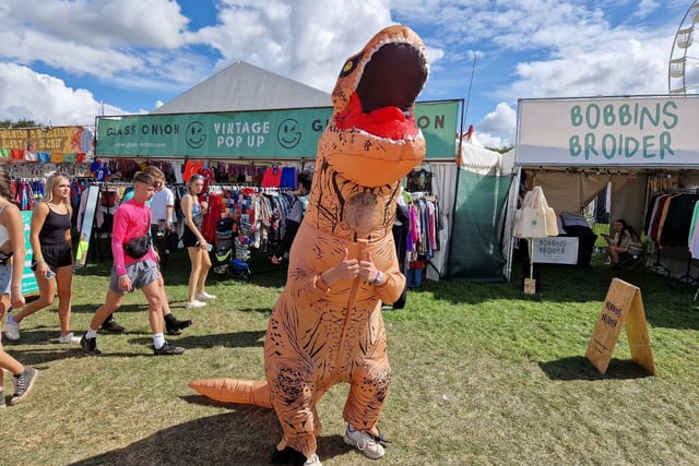People were having a roar-some time at Leeds Festival 2023. Photo: National World