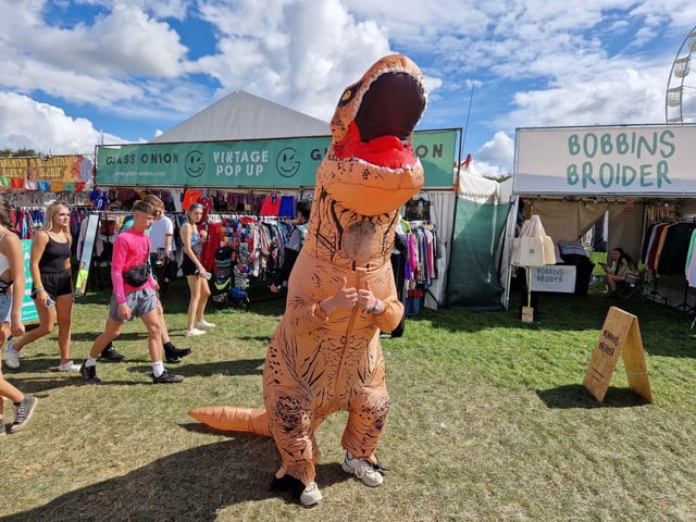 People were having a roar-some time at Leeds Festival 2023. Photo: National World