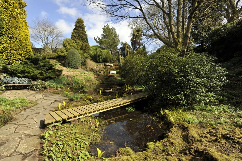 Highly regarded in the horticultural world, Bide-a-Wee Cottage garden, at Stanton, near Morpeth, is based around a former quarry.