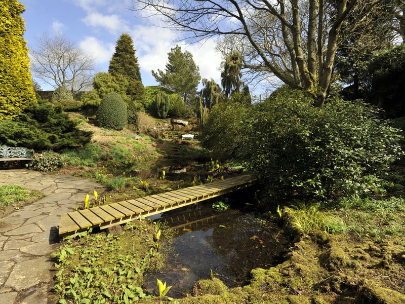 Highly regarded in the horticultural world, Bide-a-Wee Cottage garden, at Stanton, near Morpeth, is based around a former quarry.
