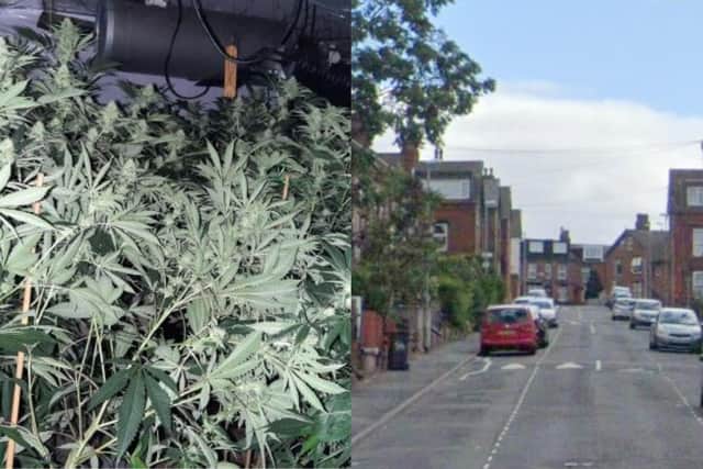 Police uncovered the cannabis farm in the Ashton terraces, Harehills (Photo: WYP/Google)