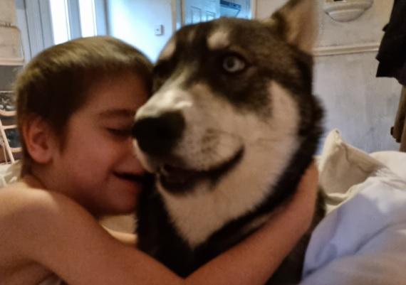 "This special special boy is 6 months old husky 💙" writes Kelly Louise Willetts. "He has helped me with depression and my disabled son, he sleeps with him, follows him and when he has a meltdown blizzard will comfort him. He is  truly one in a million and we love him so much."