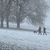 Dog walkers in Potternewton Park, Leeds, on Sunday morning after heavy snowfall overnight (Photo by Steve Riding)