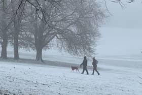 Dog walkers in Potternewton Park, Leeds, on Sunday morning after heavy snowfall overnight (Photo by Steve Riding)