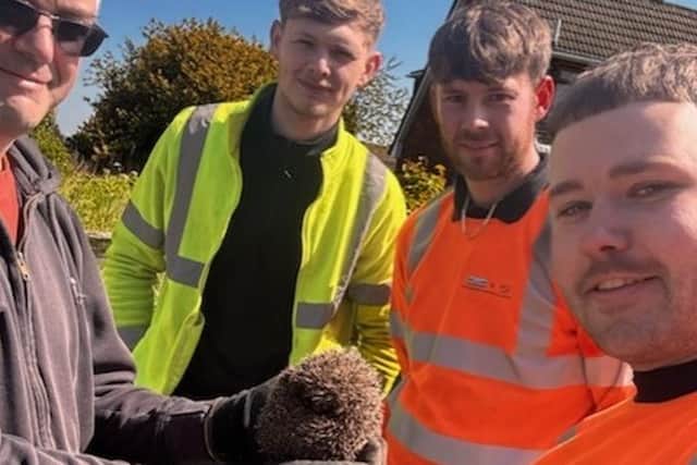 Bailey the hedgehog with her rescuers.