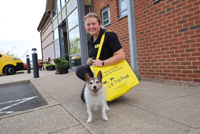 Good luck Pippa! This super cute 11-year-old Jack Russell had been living off-site with one of the centre’s wonderful foster carers, but this week she was officially adopted and left to start her new life.