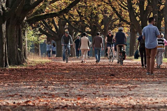 UK walking and cycling is on the decline