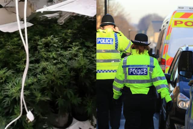 West Yorkshire Police uncovered a £1million cannabis farm in Leeds (Photo left: WYP)