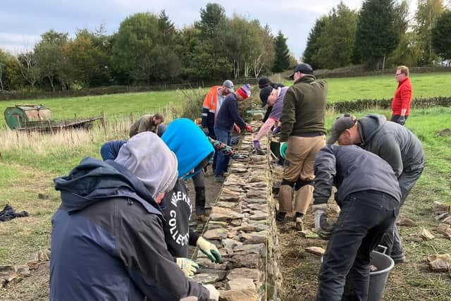 Dry stone walling enjoying a revival