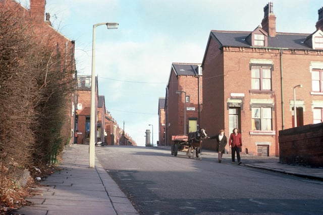 Two people walk down Pennington Street in Woodhouse with a horse and cart in January 1976. The junctions with Clarkson View, Back Clarkson View and Hartley Grove are seen on the right, while further up on the left are Lucas Street, Back Lucas Street and Lucas Place.