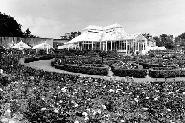 The ornamental Leeds Rose Gardens pictured in  August 1966. When the rose gardens were originally planted in 1901 they was known as Coronation Gardens and the glass conservatory was Coronation House, now the site of Tropical World. During the war years the gardens were given over to vegetables but were later restocked with roses.