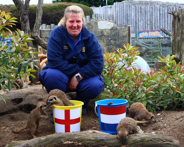 Drusillas Park’s Gemma Romanis with the 'mystic meerkats'.