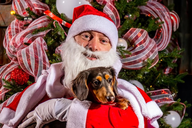 Cruz and St Nick enjoyed the special day together, as hundreds of sausage dogs descended on the city.