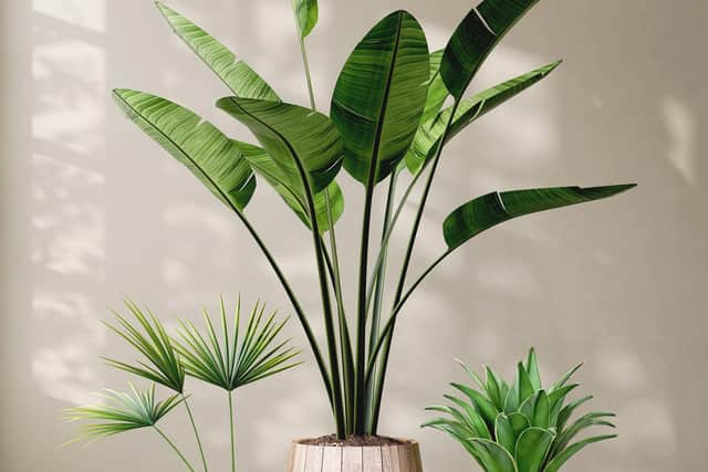 Use house plants to purify the air rather than artificial air purifiers (photo: Adobe)