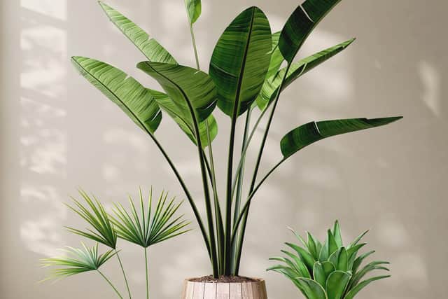 Use house plants to purify the air rather than artificial air purifiers (photo: Adobe)